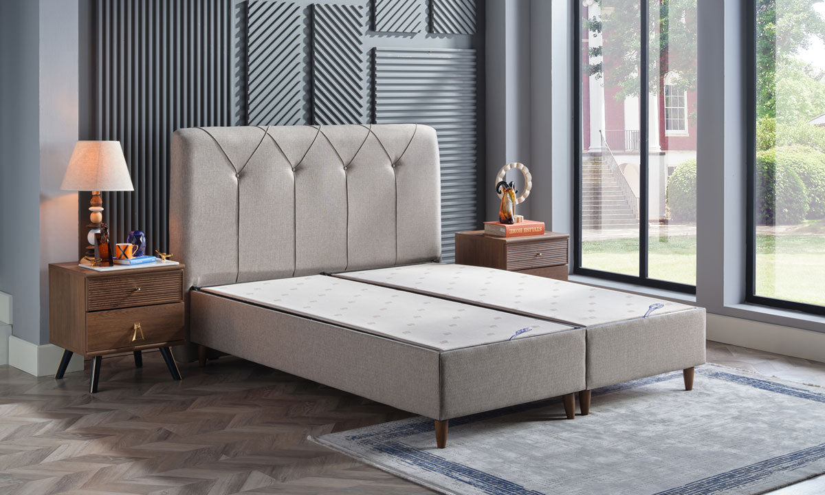 SET PLUS BASLIK + ALFA BAZA